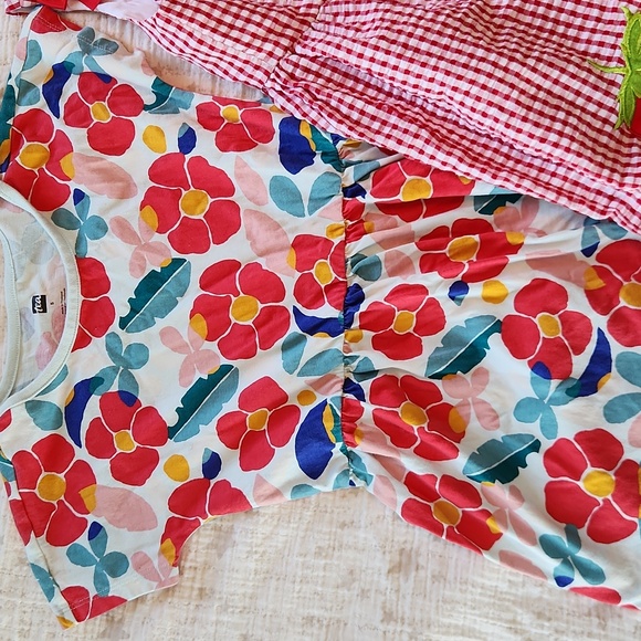 2 Girl's Summer Dresses Size 5, Strawberry Gingham And Floral. - Picture 2 of 4